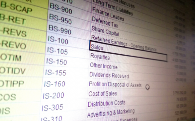 The Chart of Accounts